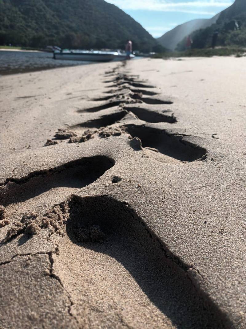 Why choose Plettenberg Bay?