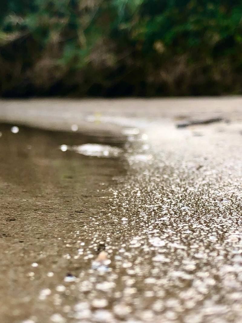 Holiday In Plett - Image 3