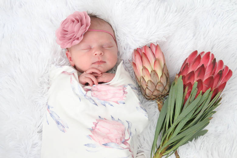 Newborn photography from Neon Productions