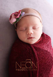 Newborn photography from Neon Productions