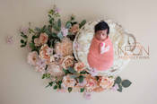 Newborn photography from Neon Productions