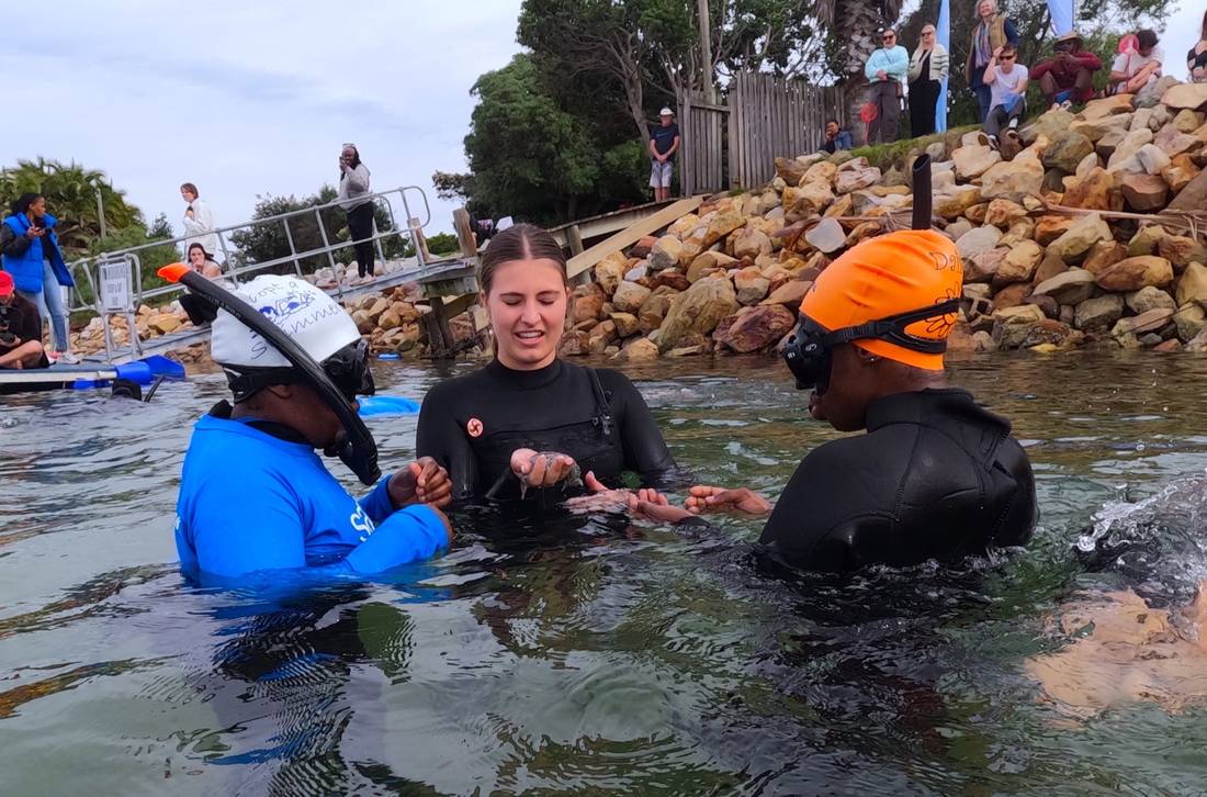 Adopt A Swimmer - Plettenberg Bay