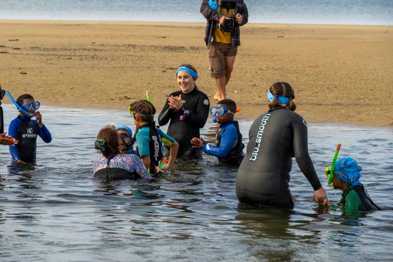 Adopt A Swimmer - Plettenberg Bay