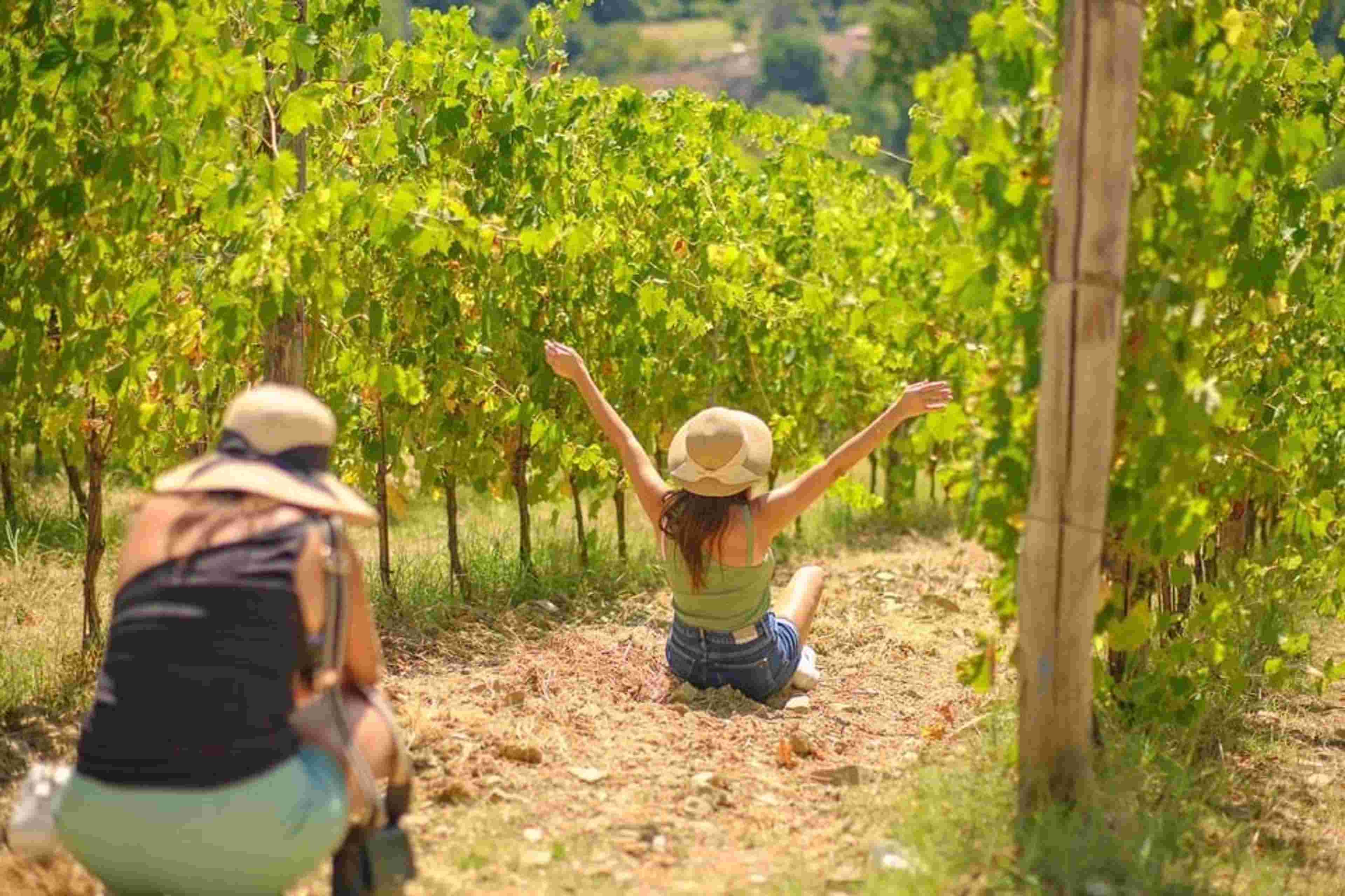 tour-cantine-chianti