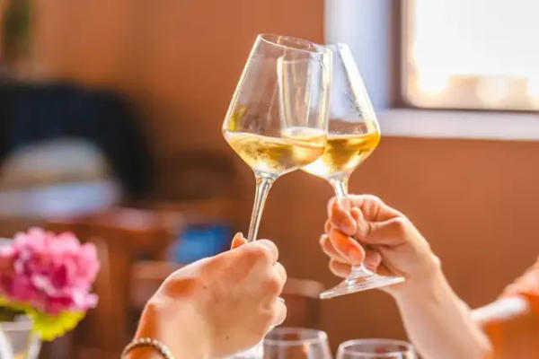 Wine tasting at a winery in San Gimignano and light lunch