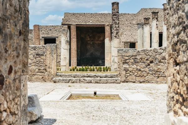 Da Napoli: Tour di un giorno delle rovine di Pompei e del Vesuvio
