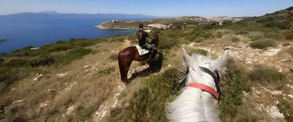 Paseos a caballo en el Parque Molentargius de Cagliari