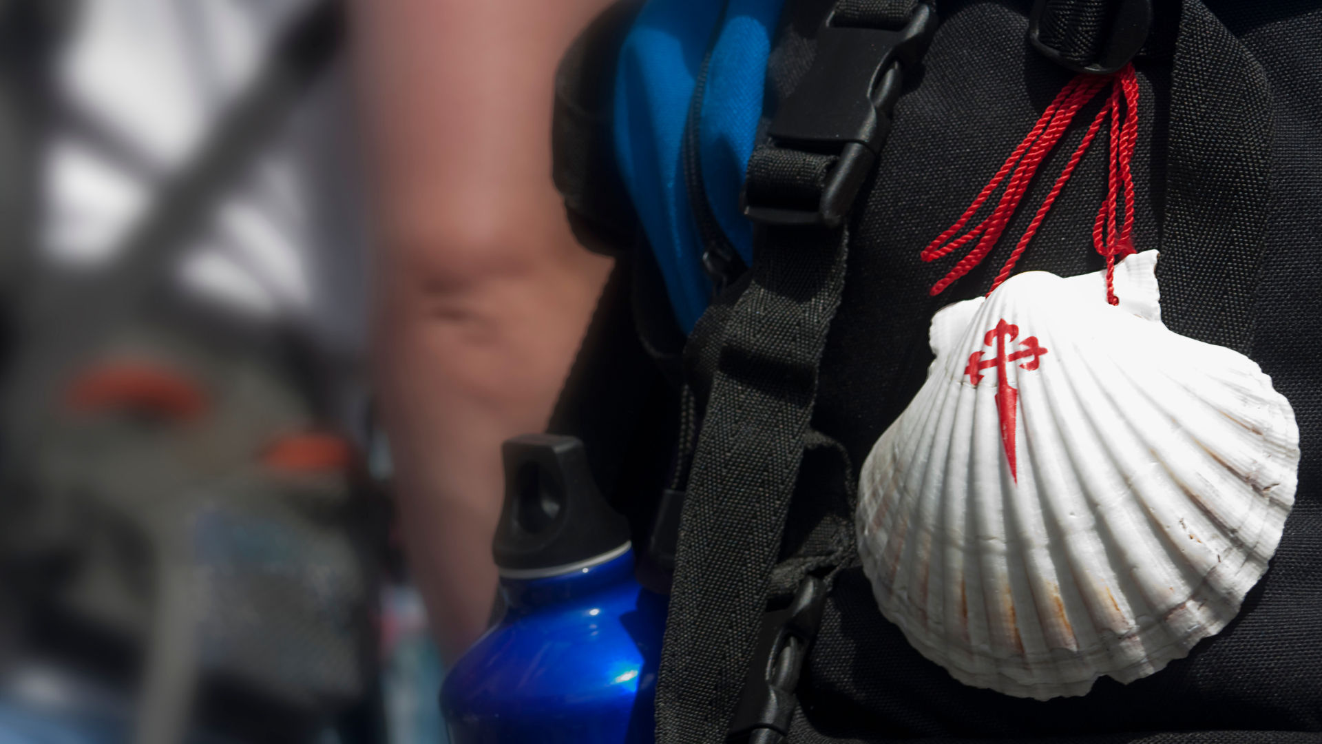Chemin de Compostelle : guide complet et conseils pratiques - Hotiday
