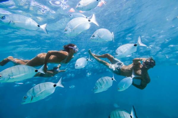 Traghetto per l'isola di Lobos + snorkeling da Corralejo