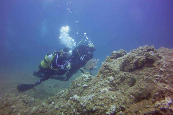 Battesimo del mare all'Isola Gallinara sulla Riviera di Ponente