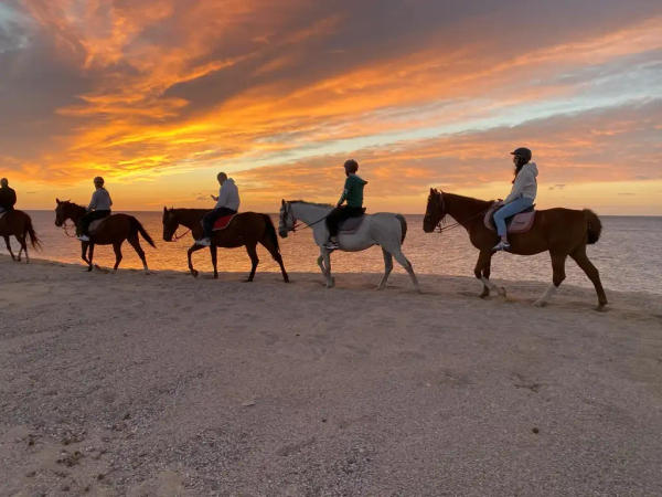 Paseo a caballo por la playa de Orosei al atardecer