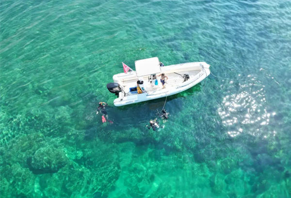 Experiencia de submarinismo en el Golfo de Cagliari