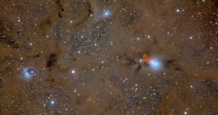 NGC 1333 - Bụi sao trong chòm Perseus - NGC1333ruiz900 / Thiên văn học Đà Nẵng