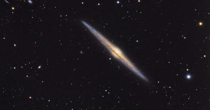 Thiên hà Cây Kim NGC 4565 - NGC4565 hager900 / Thiên văn học Đà Nẵng