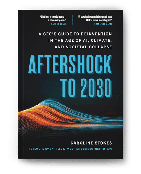 Aftershock to 2030 by Caroline Stokes