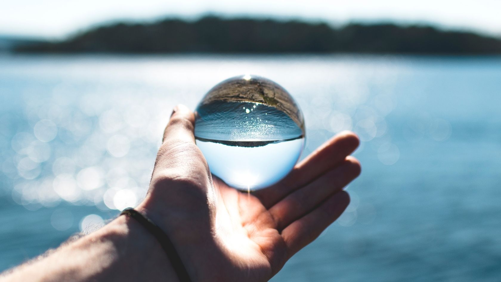 Clarity in the Age of AI Disruption