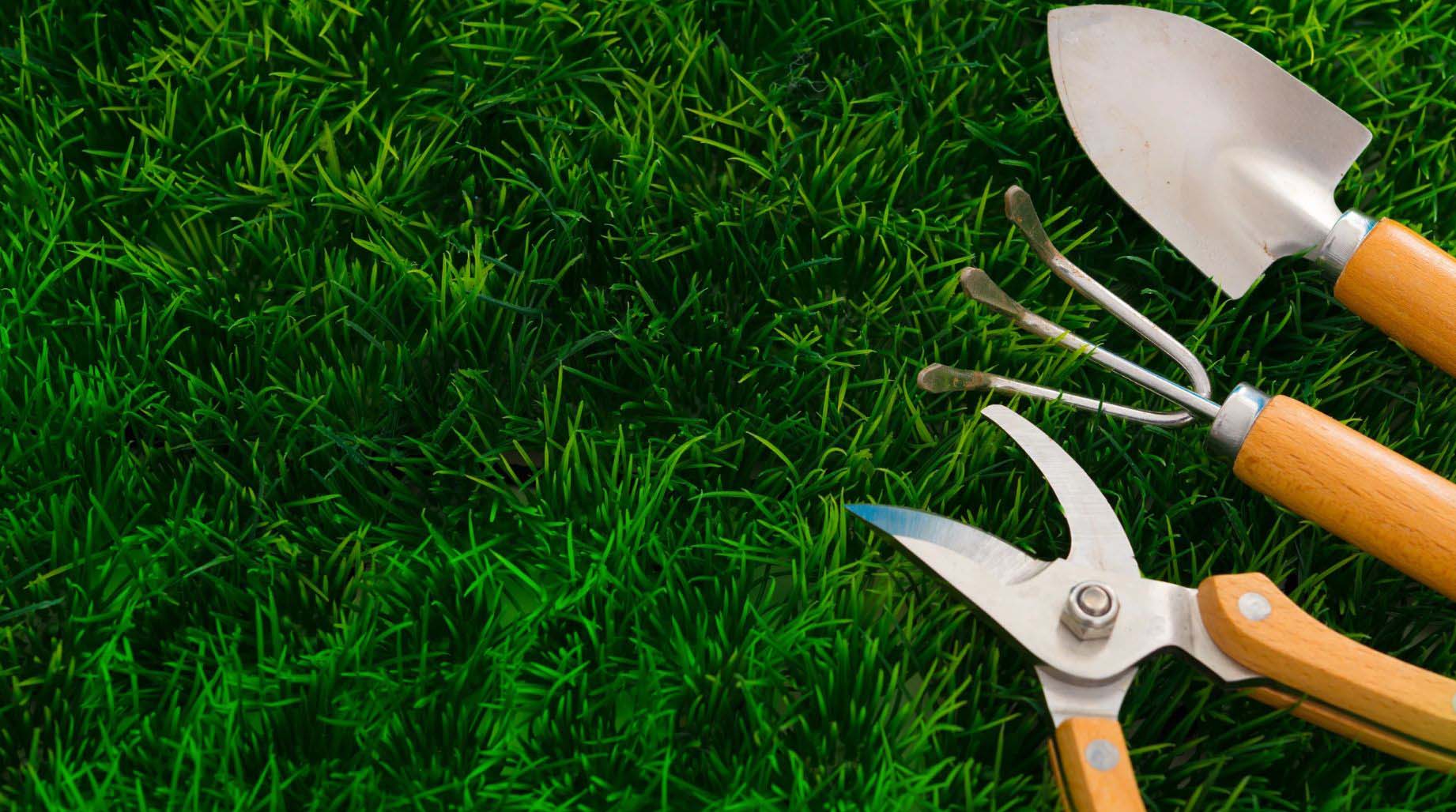 Garden tools on the lawn.