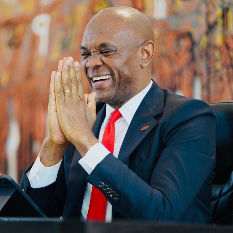 Profile of Tony E. Elumelu.