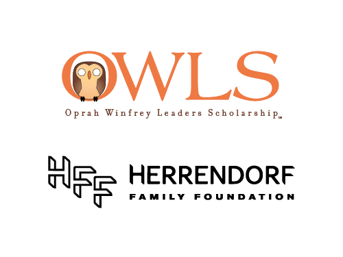 partner logos website OWLS logo