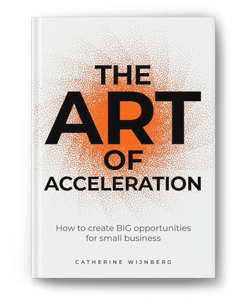the art of acceleration by Catherine Wijnberg