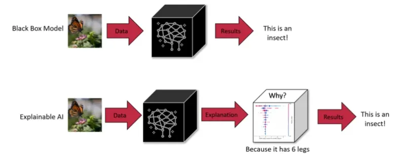 AI Transparency Solutions
