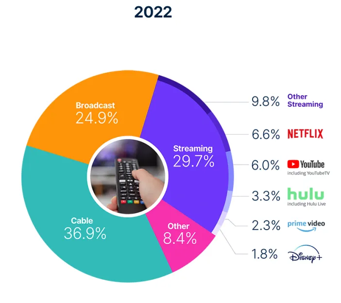 Netflix Stats