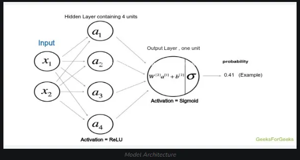 Forward Propagation