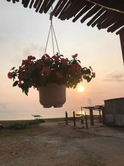 Ảnh trải nghiệm Bluesea homestay 2