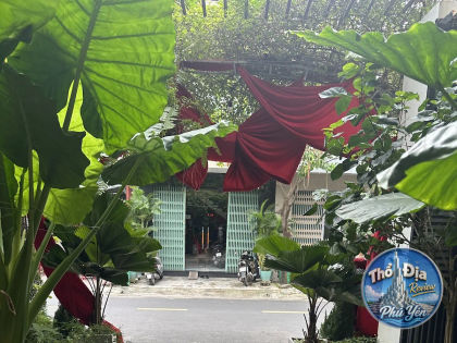 Ảnh trải nghiệm Alice Tea Room