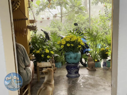 Ảnh trải nghiệm Homestay Làng