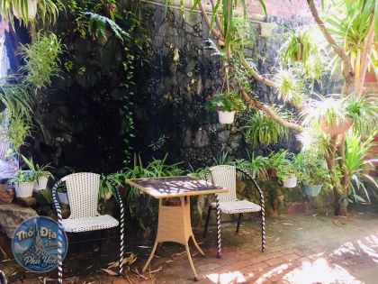 Ảnh trải nghiệm Cafe Hạc