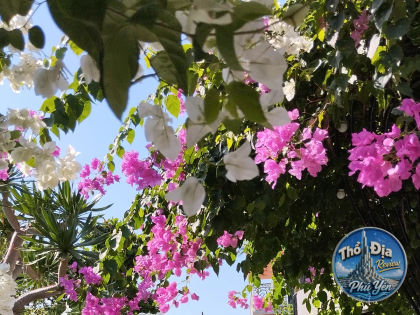 Ảnh trải nghiệm Phê Ka