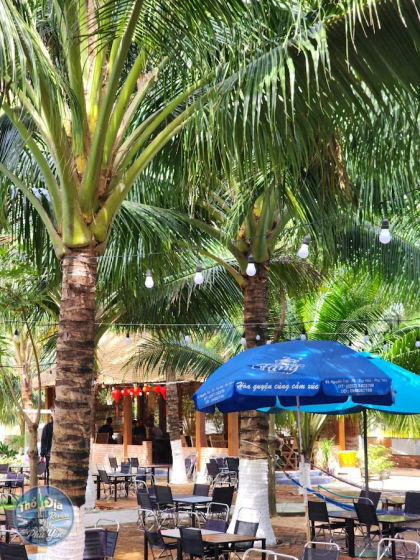 Ảnh trải nghiệm Cà phê Làng Tôi