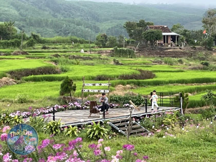 Ảnh trải nghiệm Wind Farm ‘ Ruộng Bậc Thang Cao Nguyên Lam Sơn’