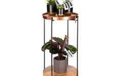 15 Collection of Plant Stands with Table
