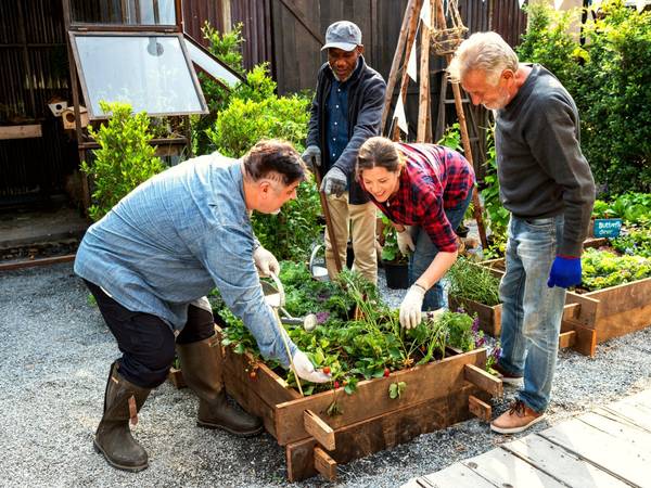 Nurturing Our Seeds (NOS)