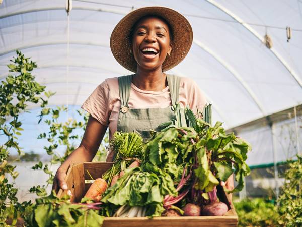 Keep Growing Detroit (KGD Farm)