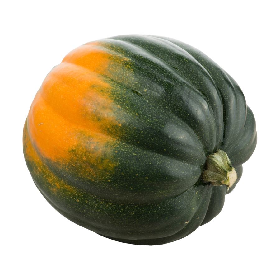 Acorn squash