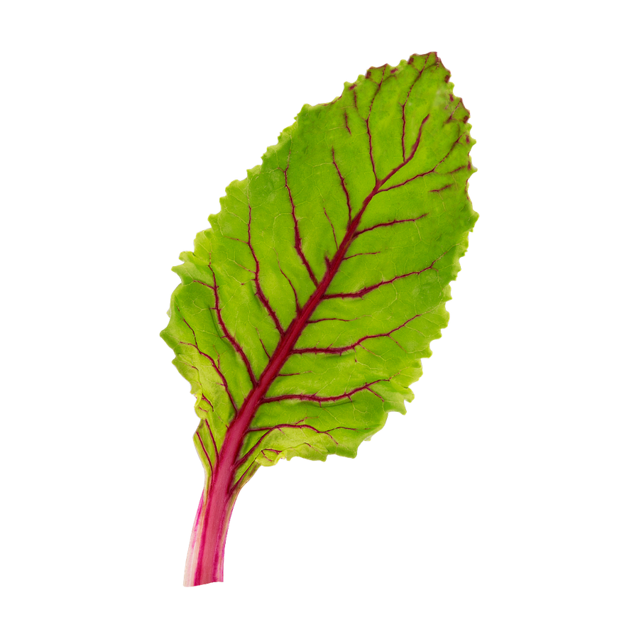 Beet greens