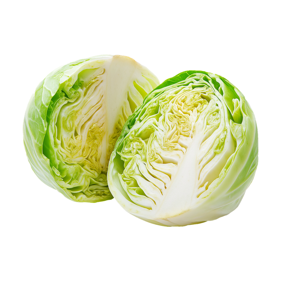 Cabbage