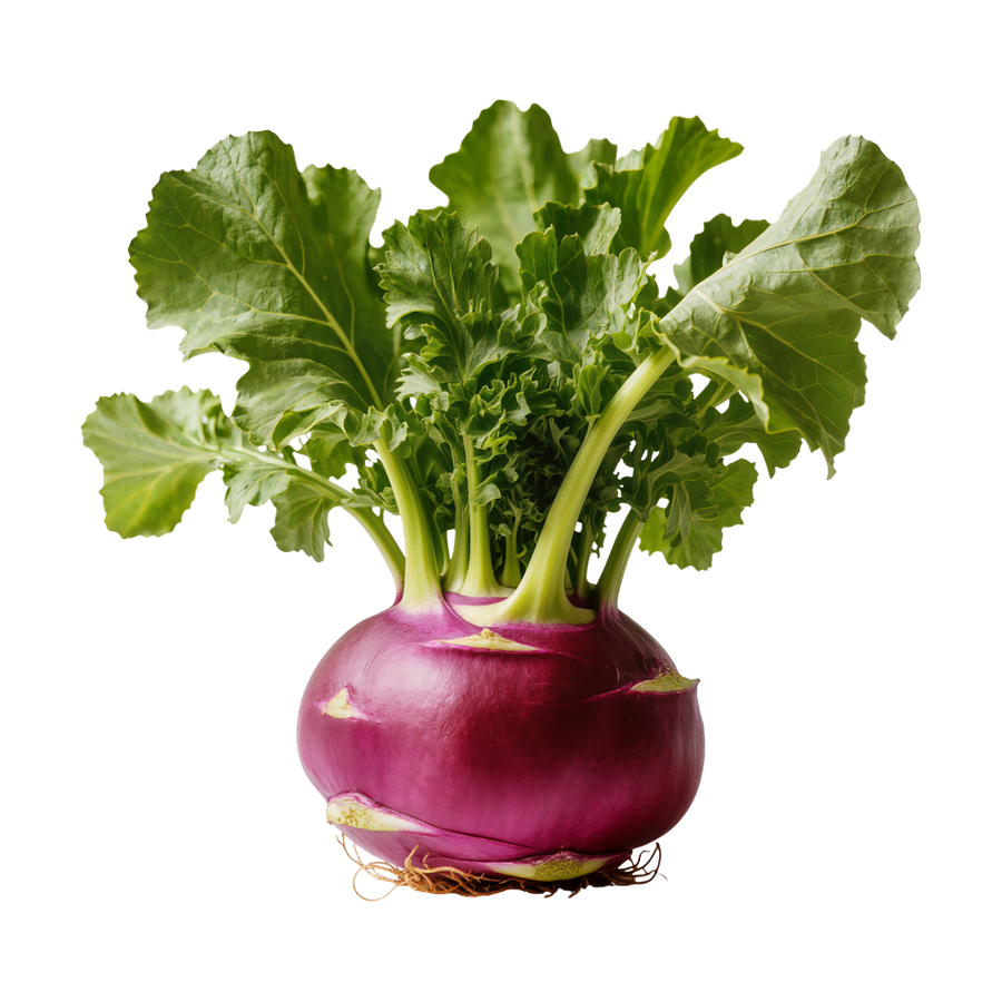 Kohlrabi