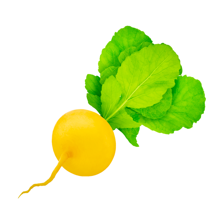 Rutabaga