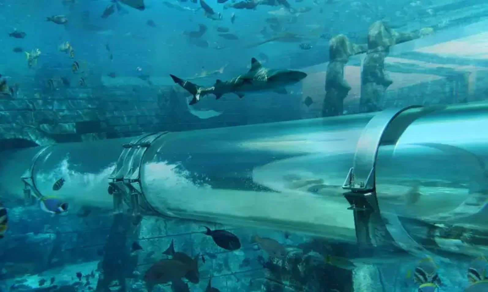 under water slide at aquaventure