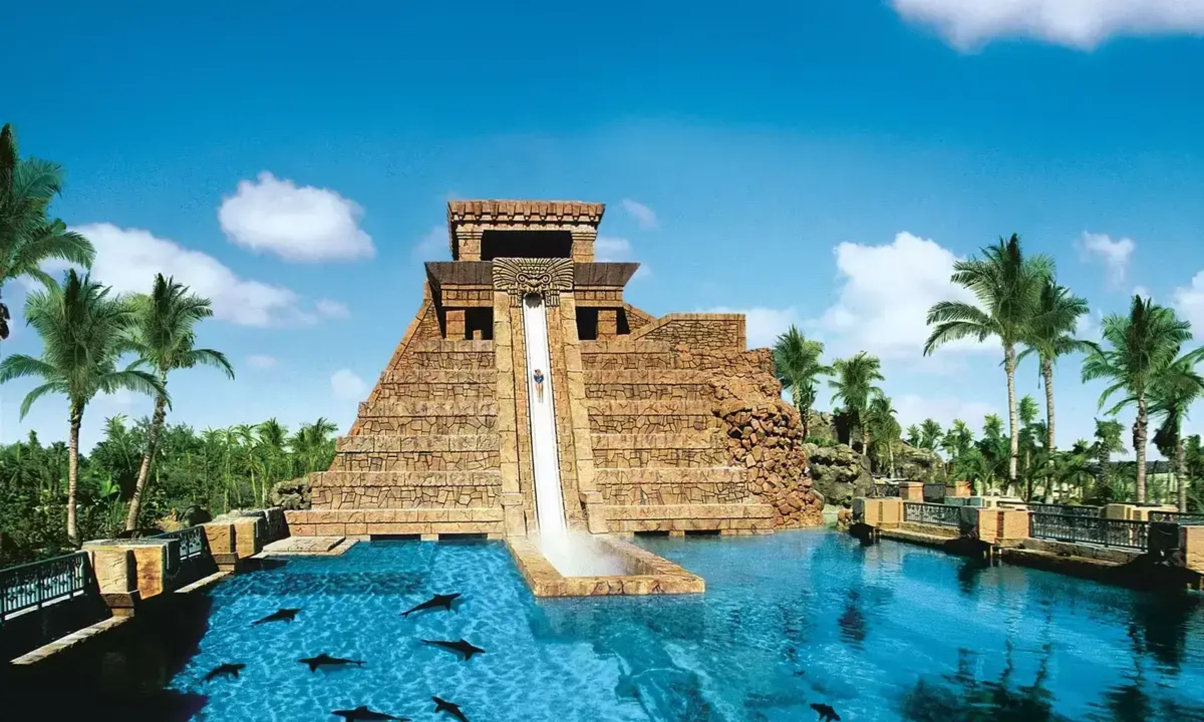 Visitors sliding down the Leap of Faith