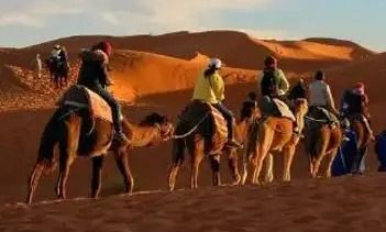 VIP Desert Safari - Image 4