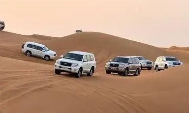 VIP Desert Safari - Image 6