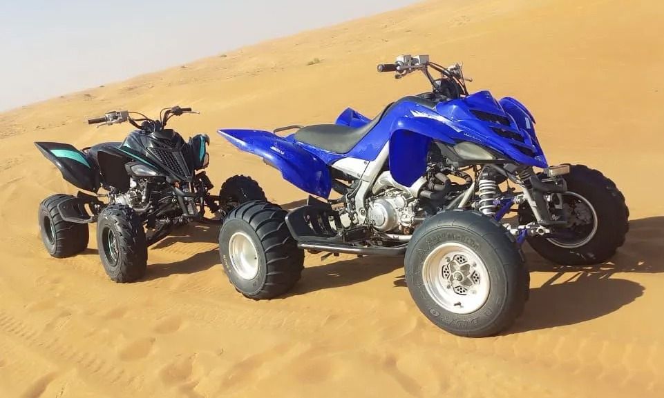 VIP Desert Safari - Image 3