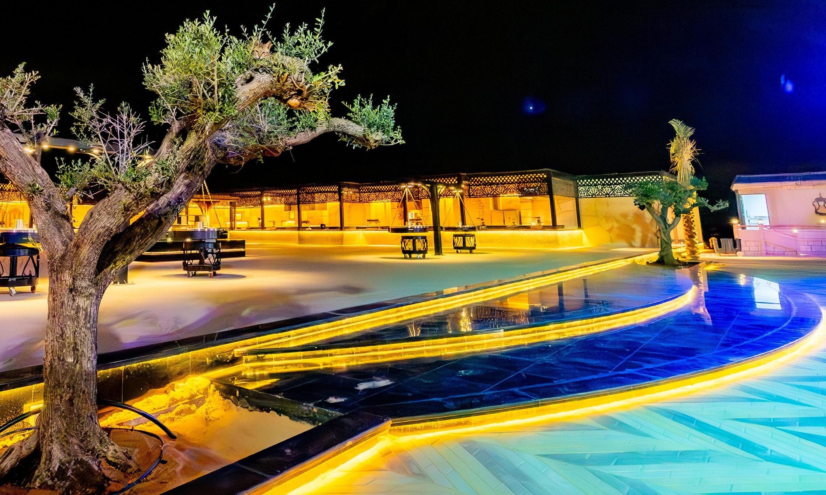 VIP Desert Safari - Image 1