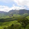 munnar-2259072_1280