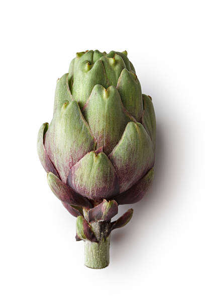 Artichoke_1.jpg